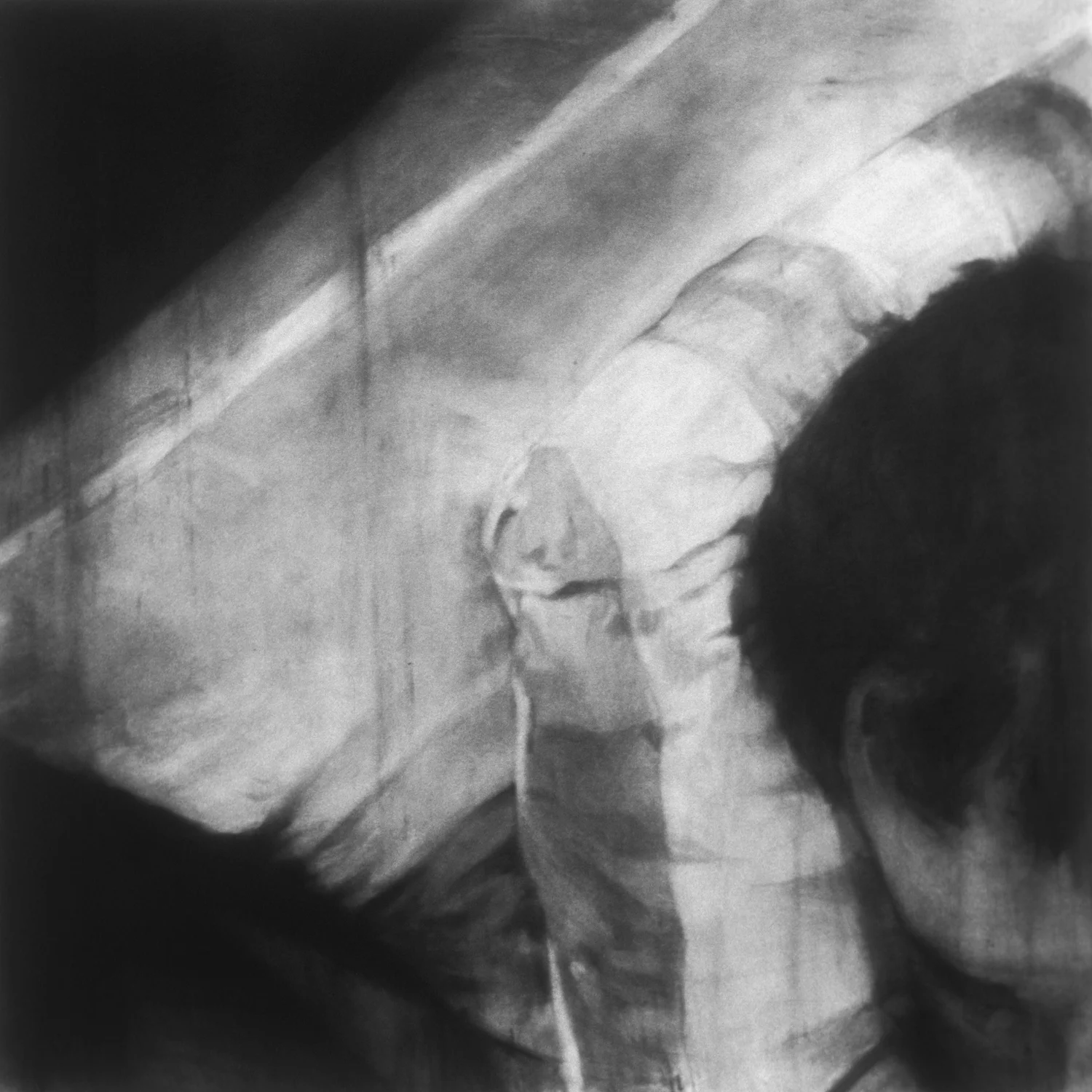Untitled (Lost) , 2001 Charcoal on paper 60" sq.