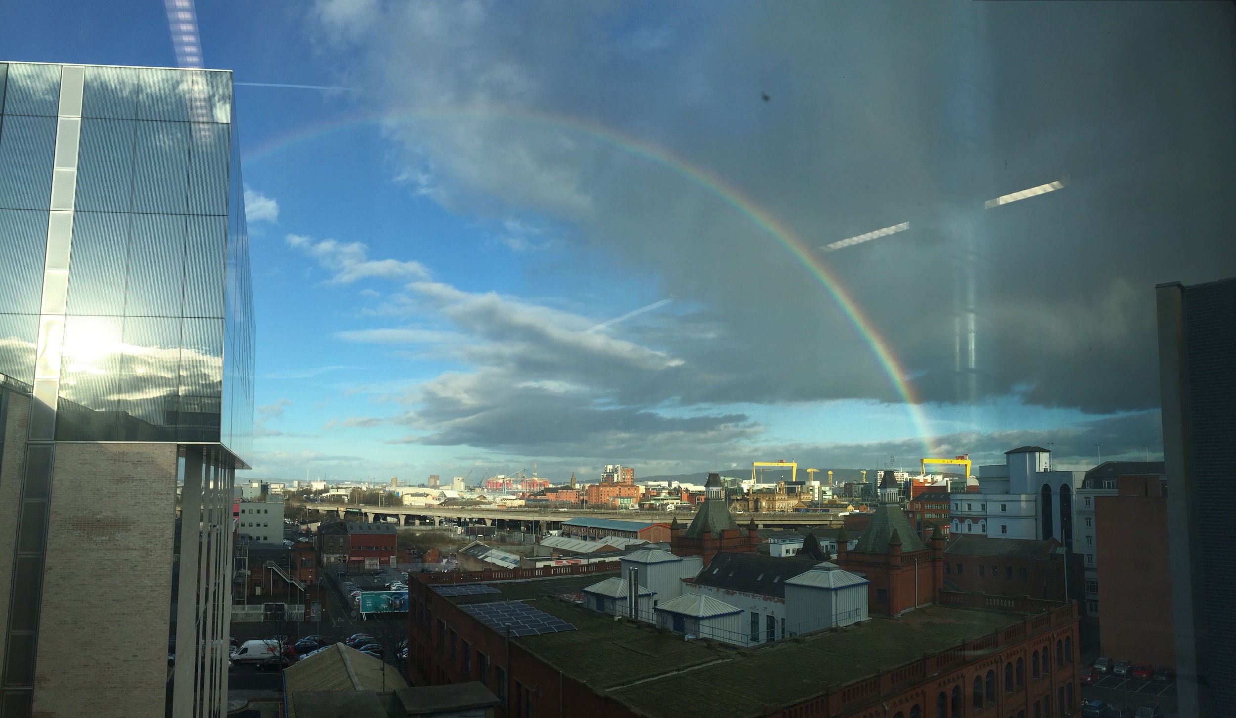 View outside my studio window on February 10, 2016