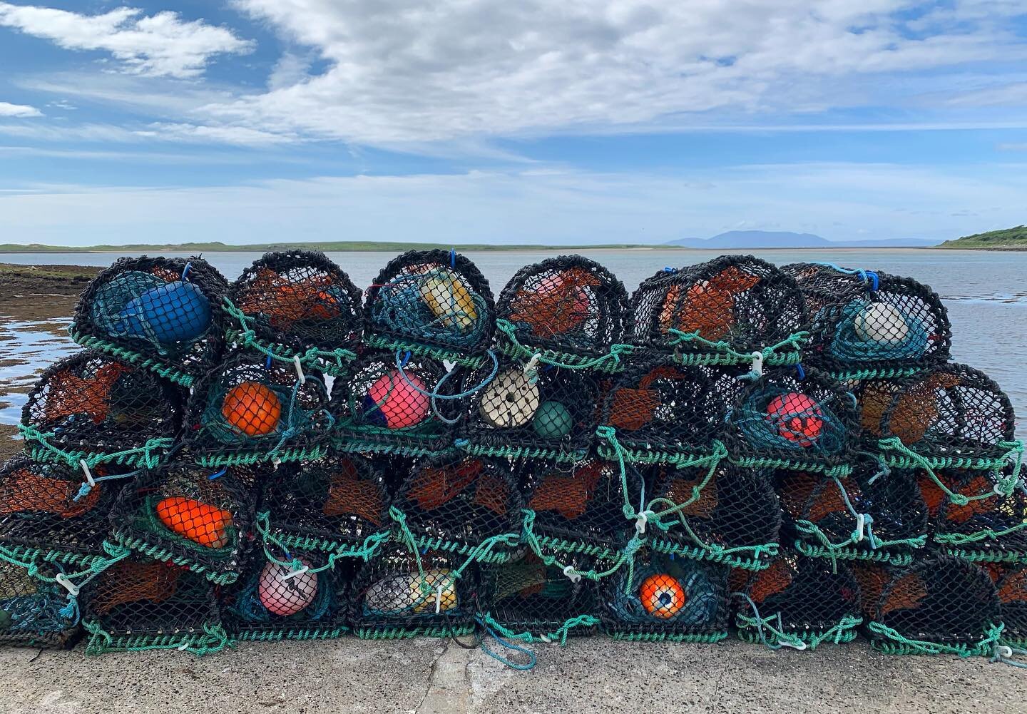 Day 4 - Co. Sligo (inlet behind guest house between Streedagh Beach and Dernish Island)