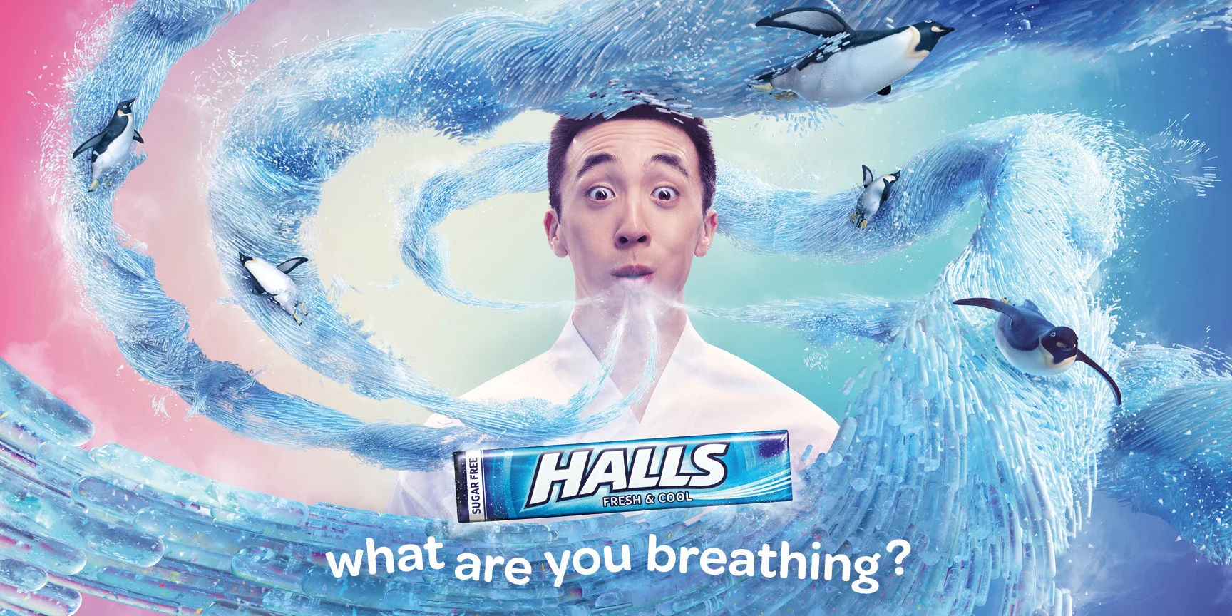 HALLS-1.JPG