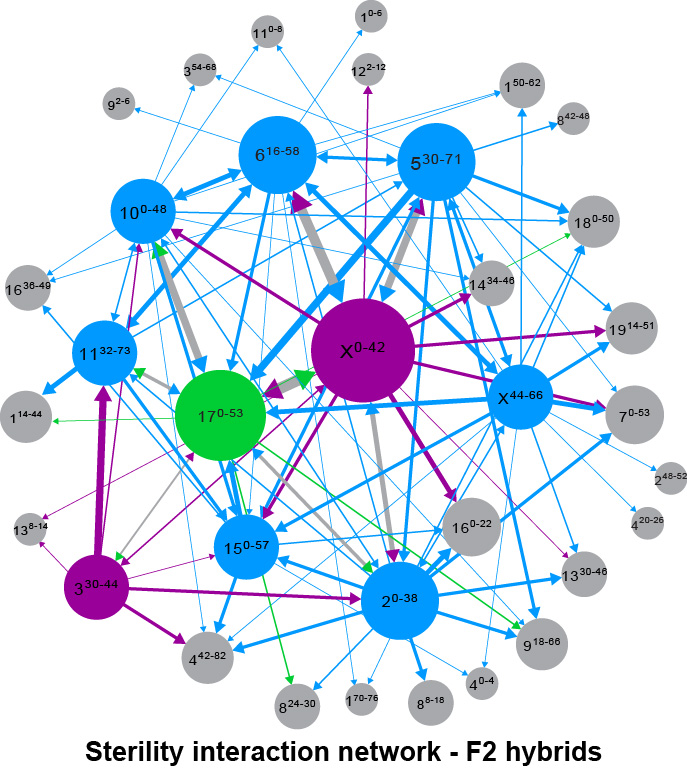  interaction network - F2 hybrids