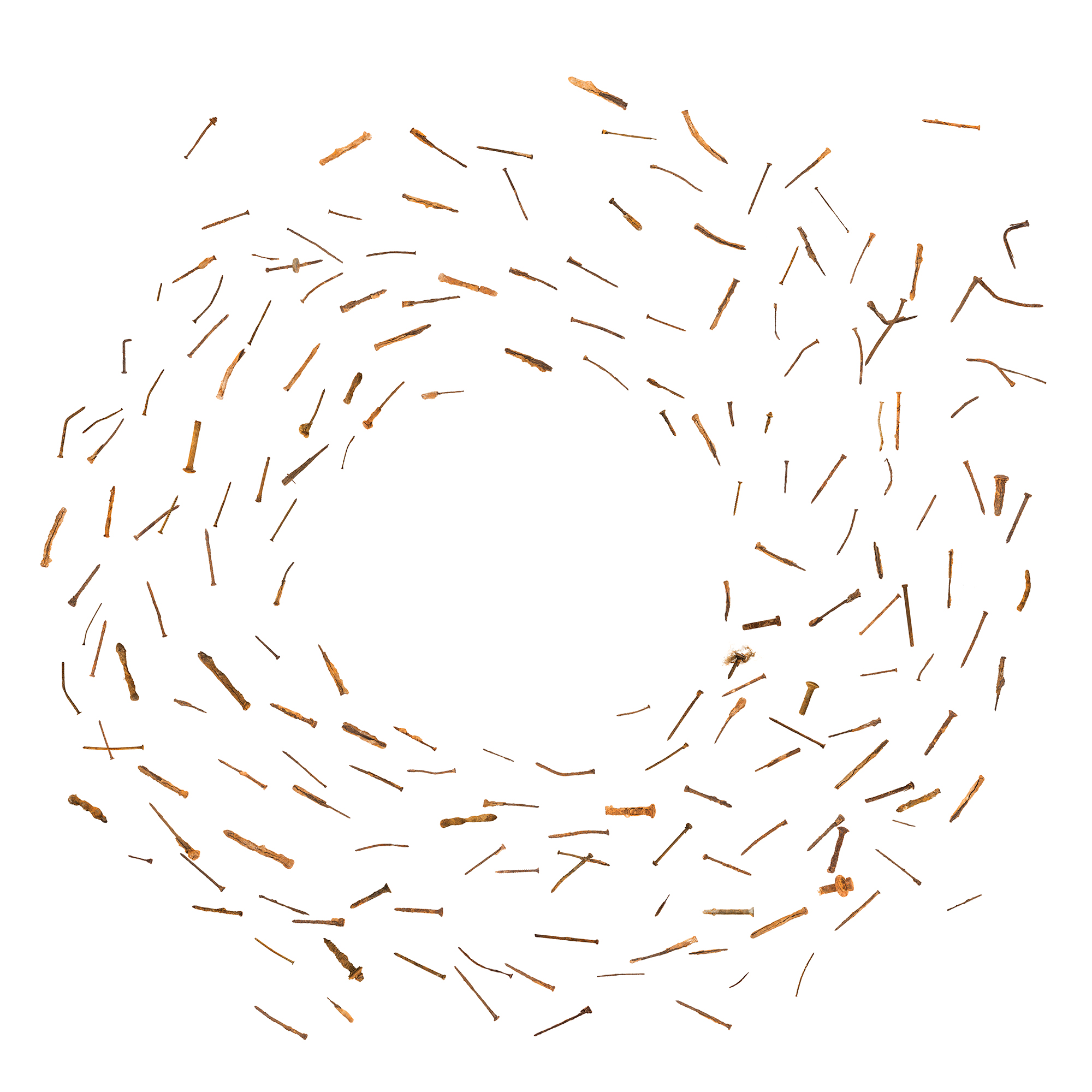 "Touch of Tetanus" (193 Rusty nails collected from 1 mile of lakefront) From the Series “From Janie To Janie”” Archival Pigment Print (40"x40" or 24"x24") ©2017