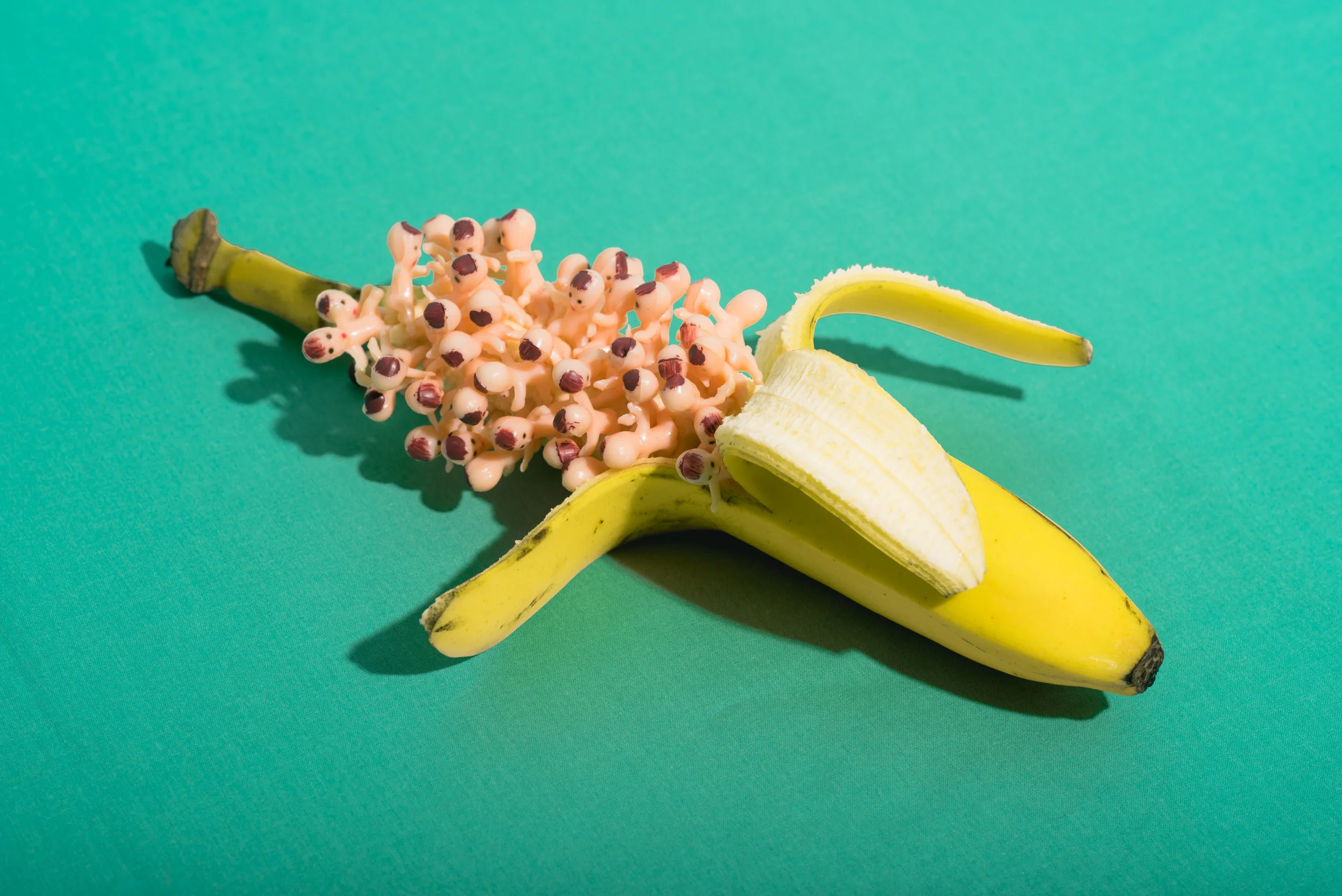 Baby Banana, 2018