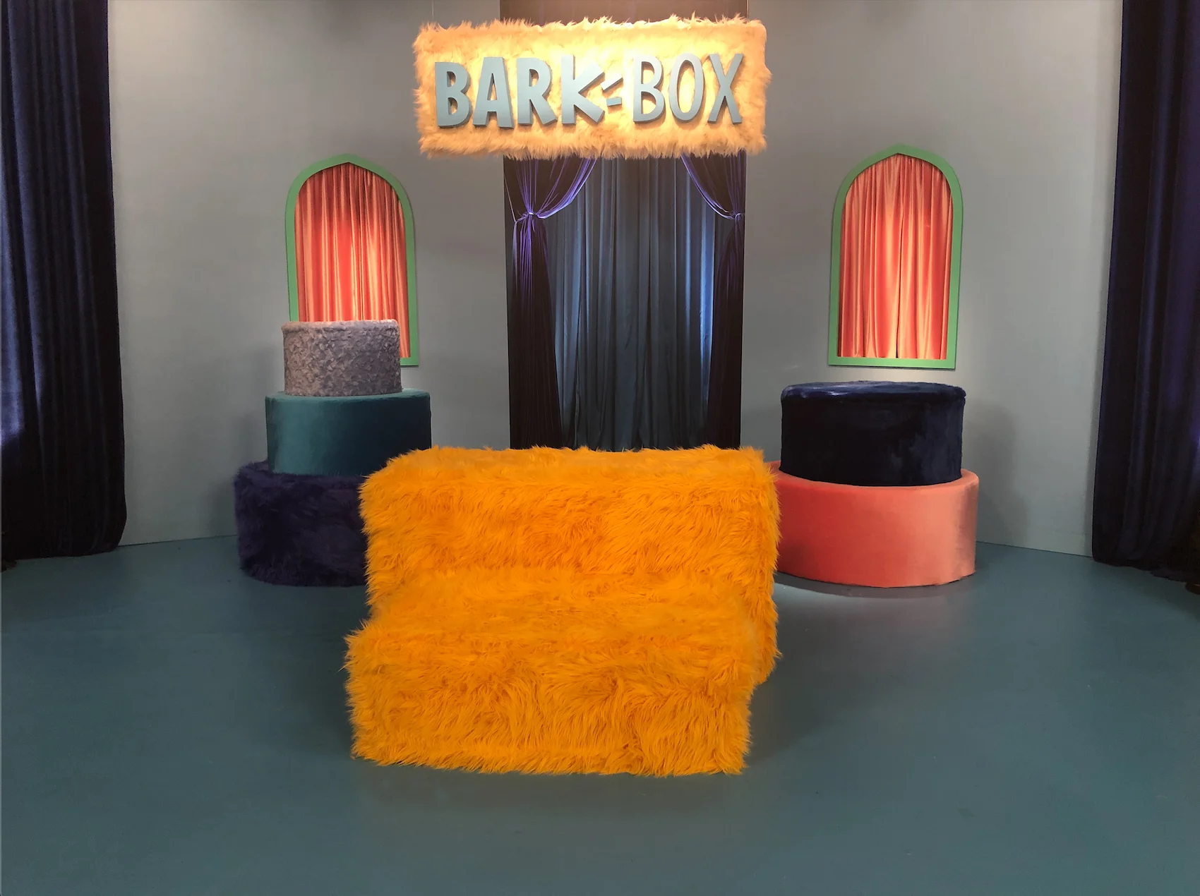 BarkBox Set.jpg
