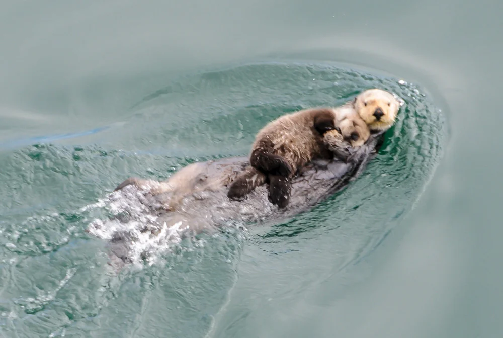 Alaska-8.jpg