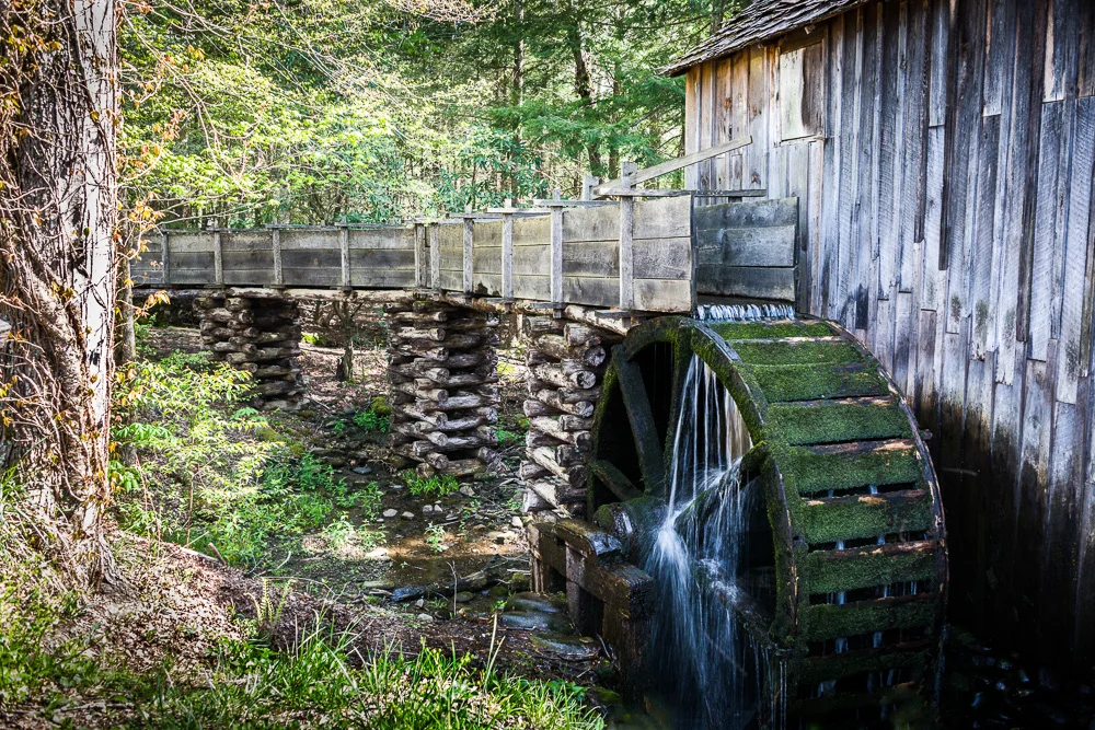 Smokey Mountains-7.jpg