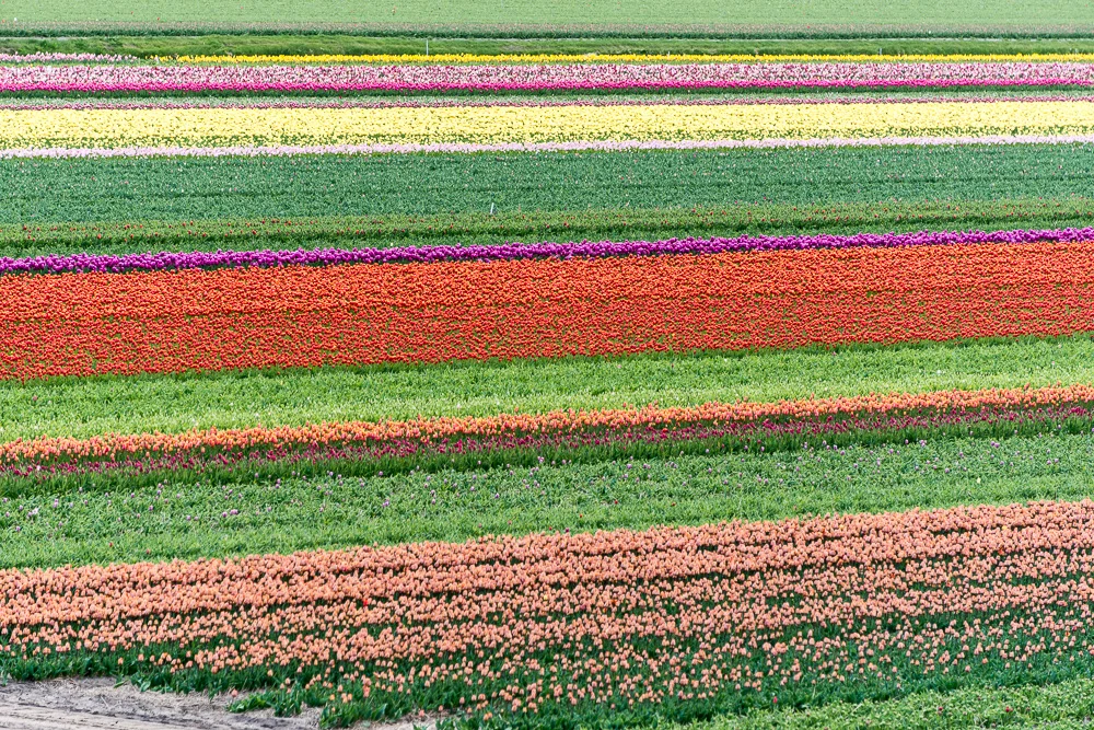 Netherlands-13.jpg