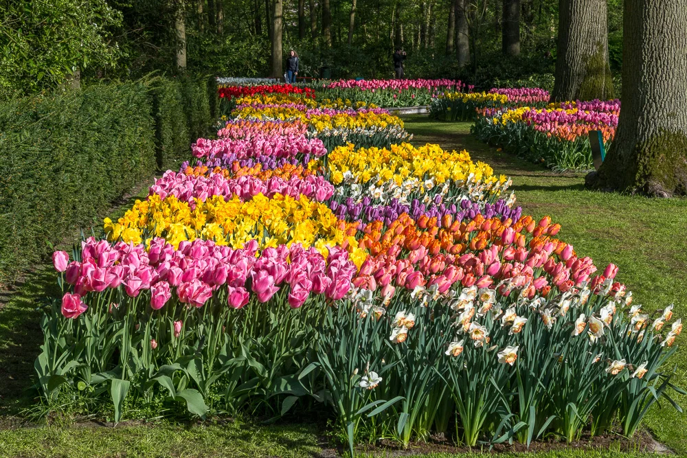 Netherlands-18.jpg