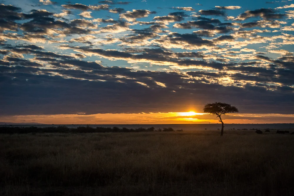 Kenya-1.jpg