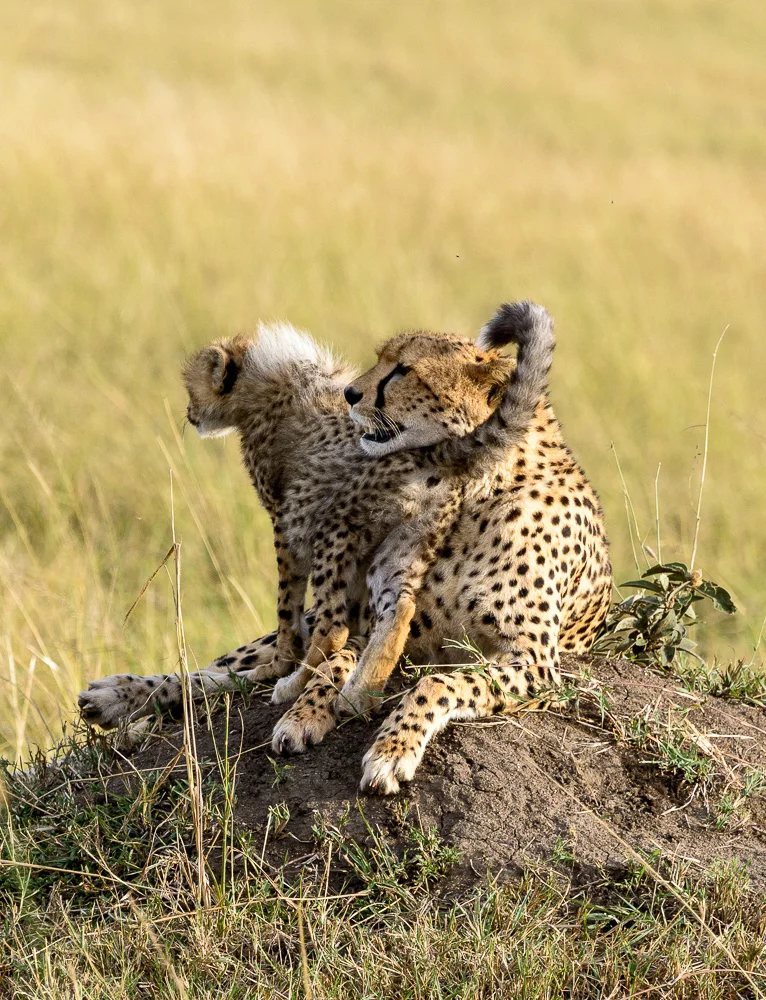 Kenya-2.jpg