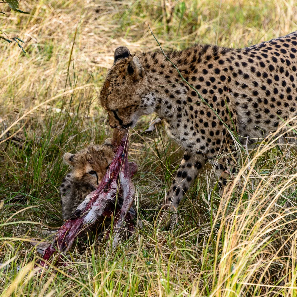 Kenya-3.jpg