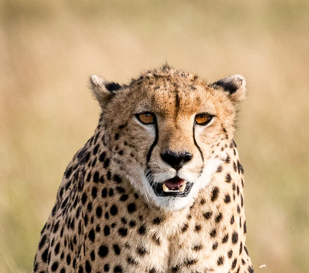 Kenya-8.jpg