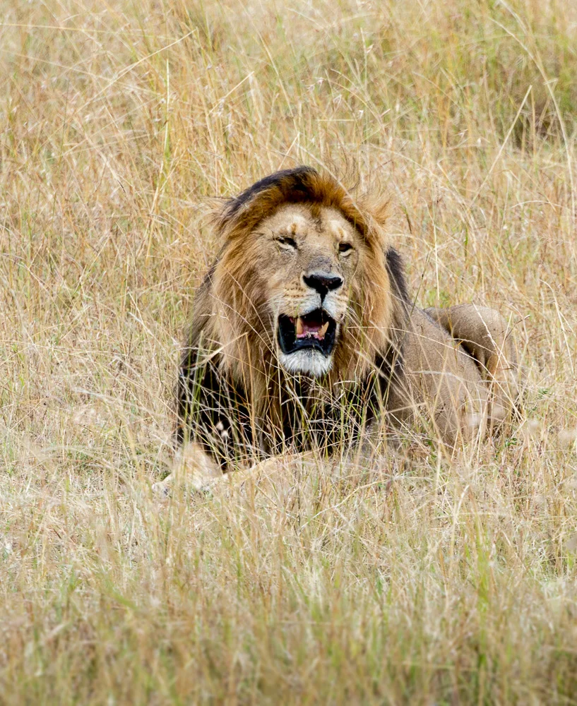 Kenya-10.jpg