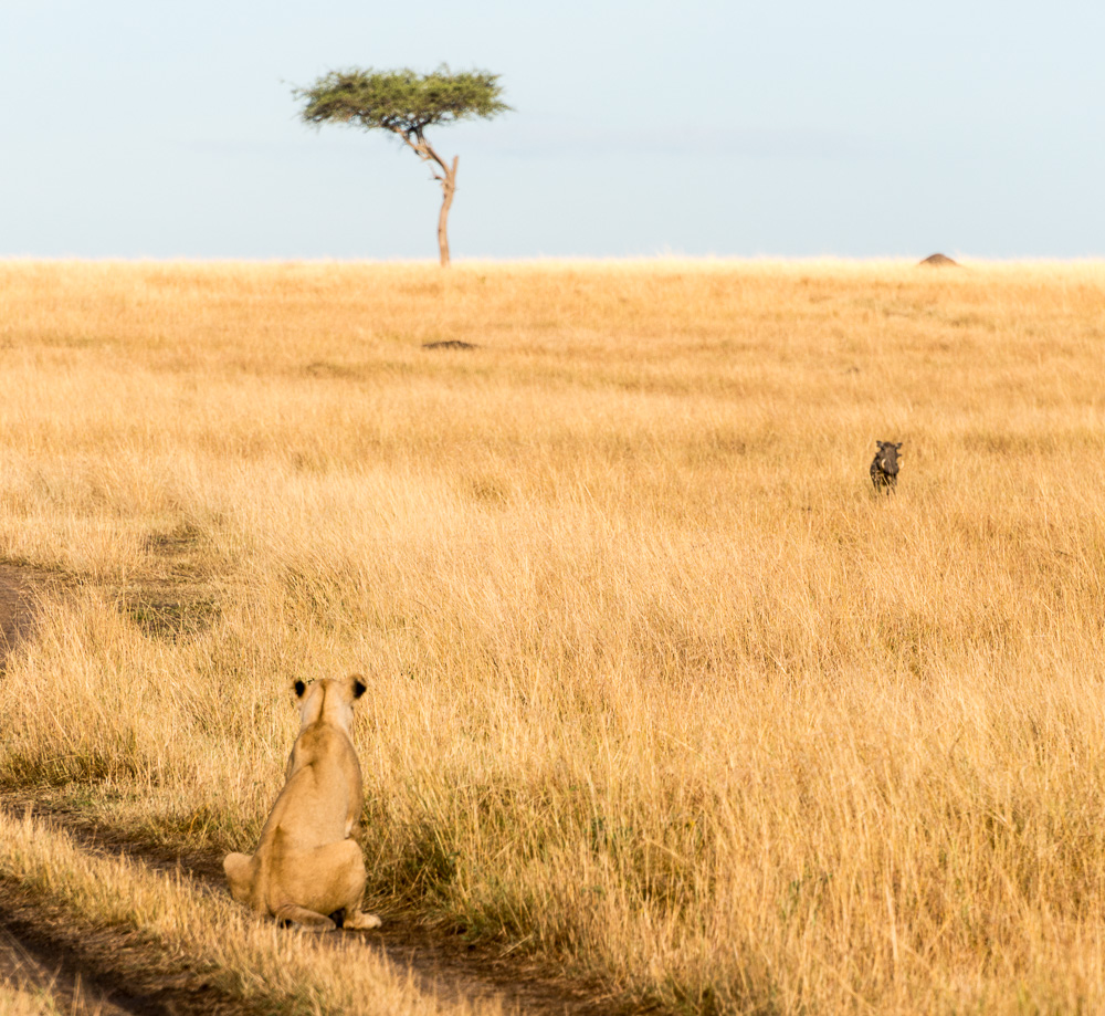 Kenya-12.jpg