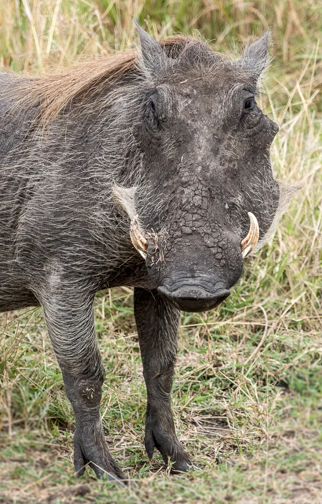 Kenya-19.jpg