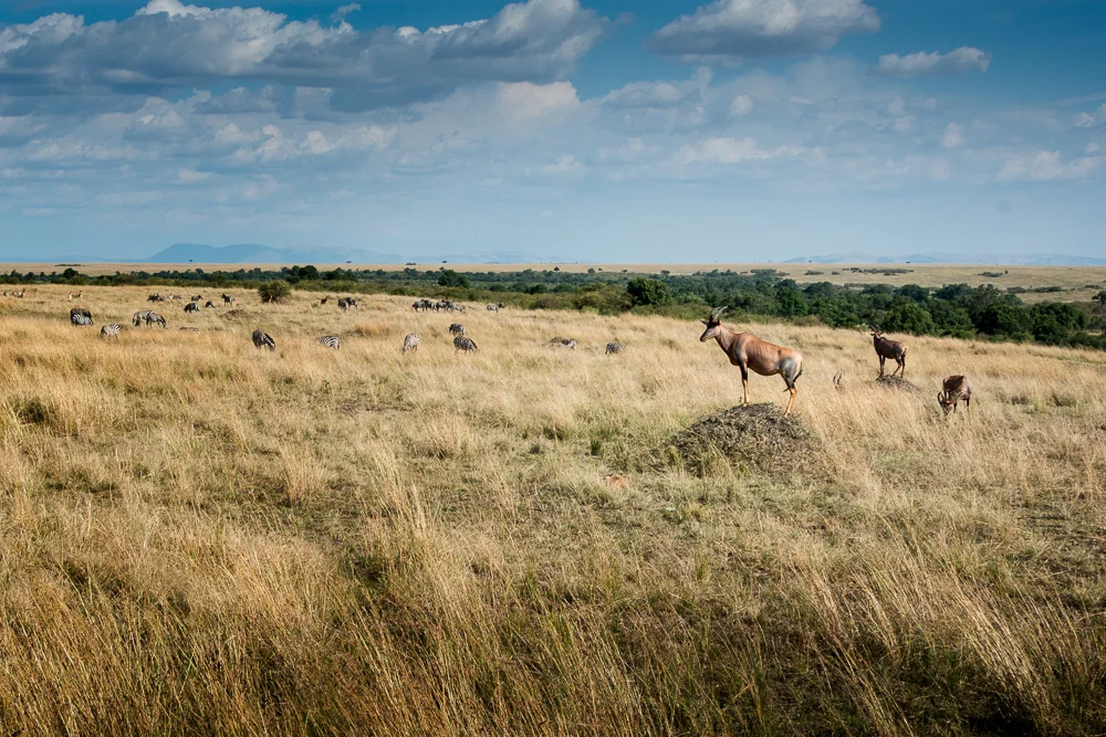 Kenya-20.jpg