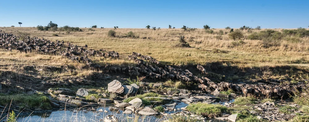 Kenya-25.jpg