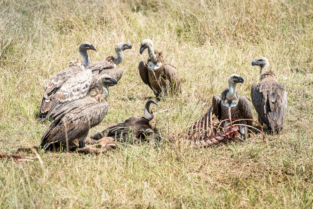 Kenya-40.jpg