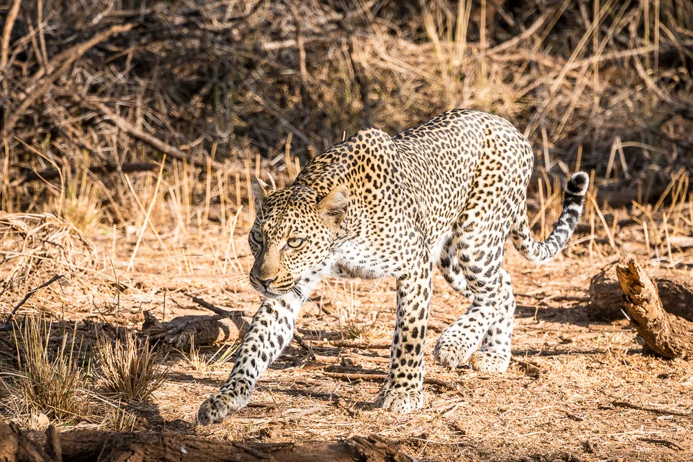 Kenya-43.jpg