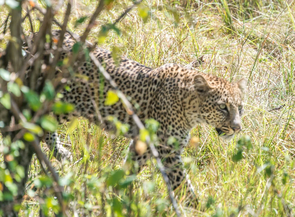 Kenya-44.jpg