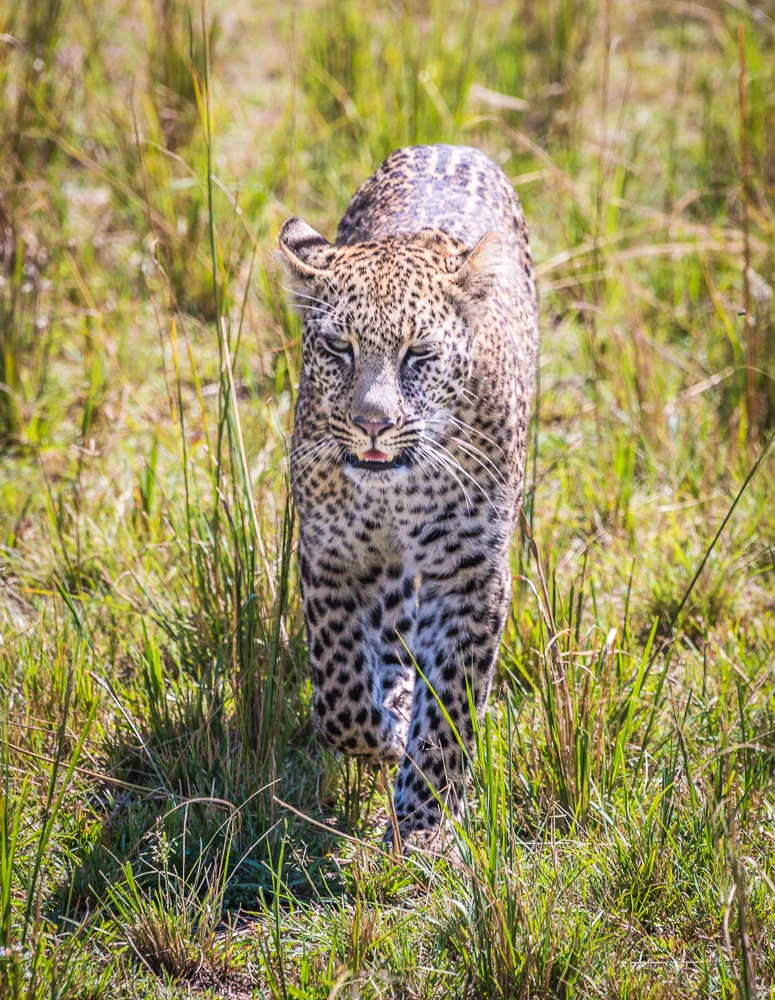 Kenya-45.jpg