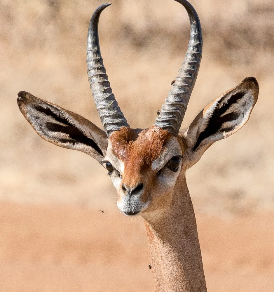 Kenya-48.jpg