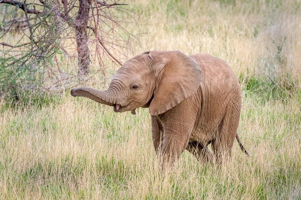 Kenya-54.jpg