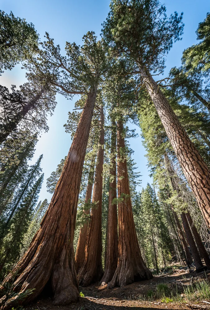 Yosemite-10.jpg