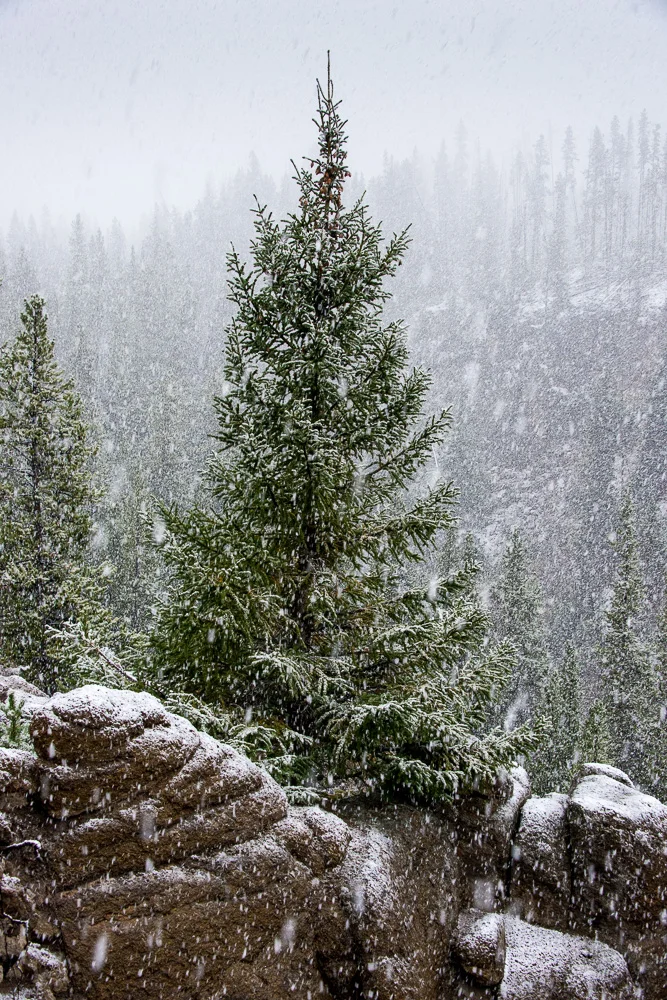 Tetons and Yellowstone-11.jpg