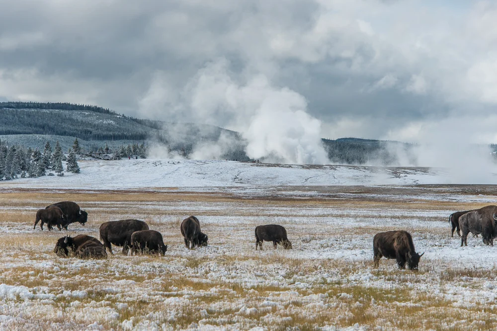 Tetons and Yellowstone-17.jpg