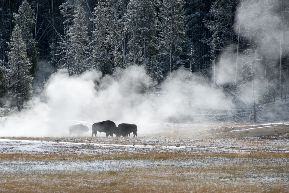 Tetons and Yellowstone-18.jpg