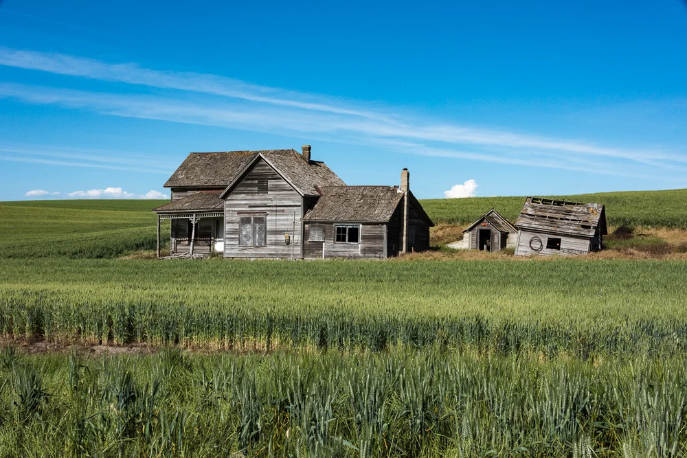 Palouse-5.jpg