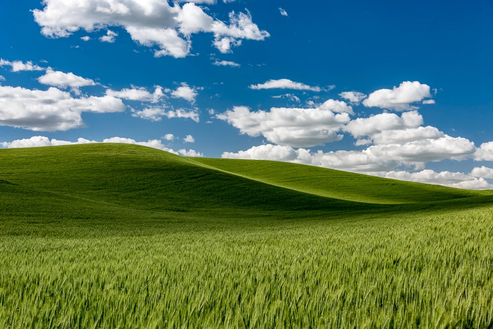 Palouse-15.jpg
