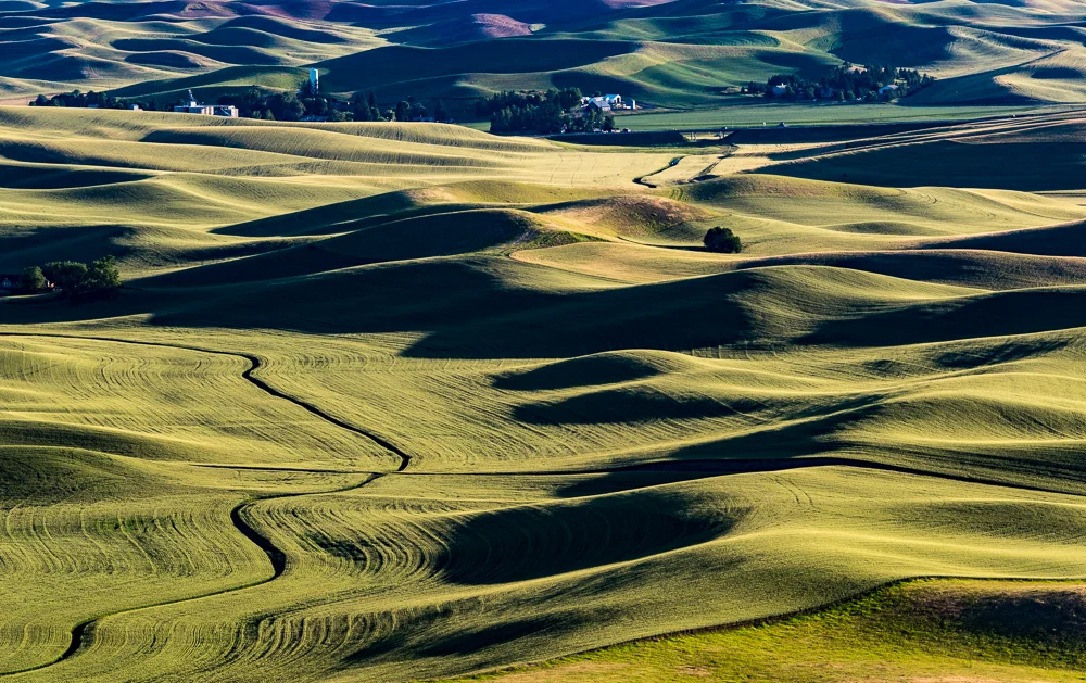 Palouse-17.jpg