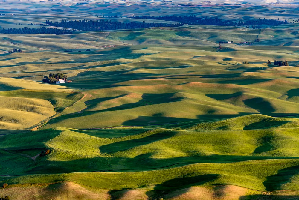 Palouse-19.jpg