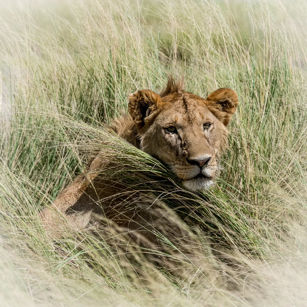 Tanzania-16.jpg