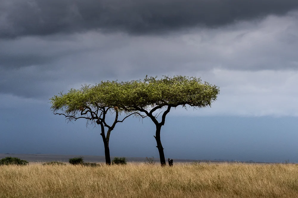 Tanzania-25.jpg