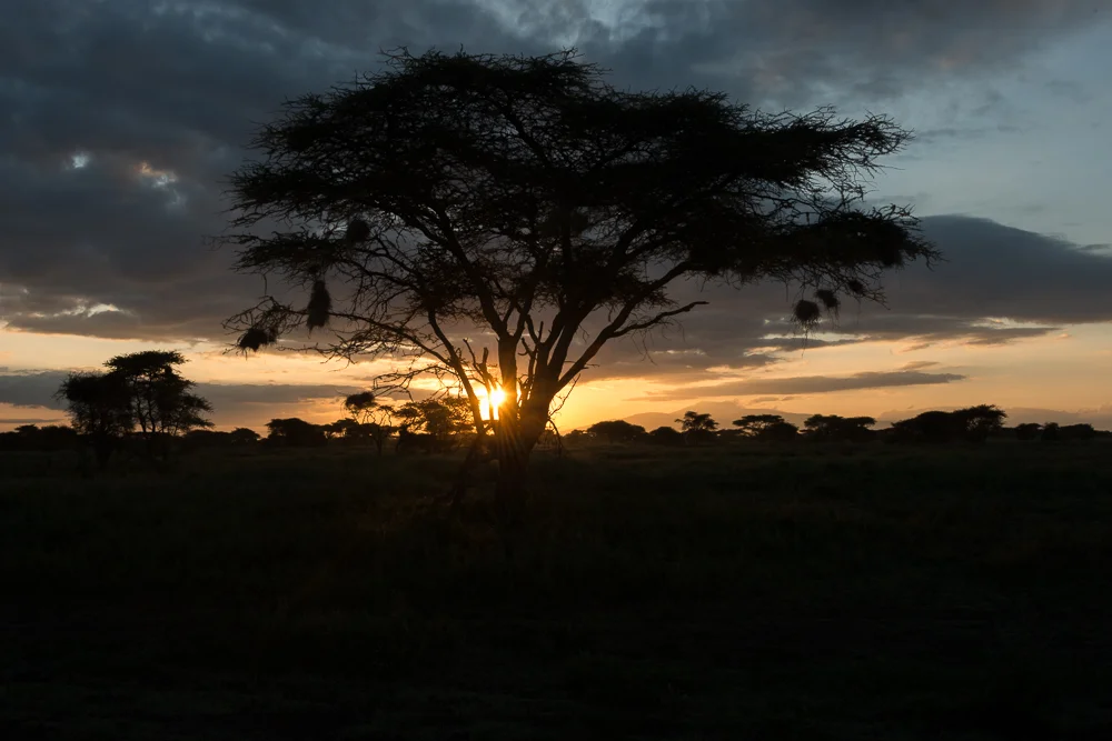 Tanzania-32.jpg