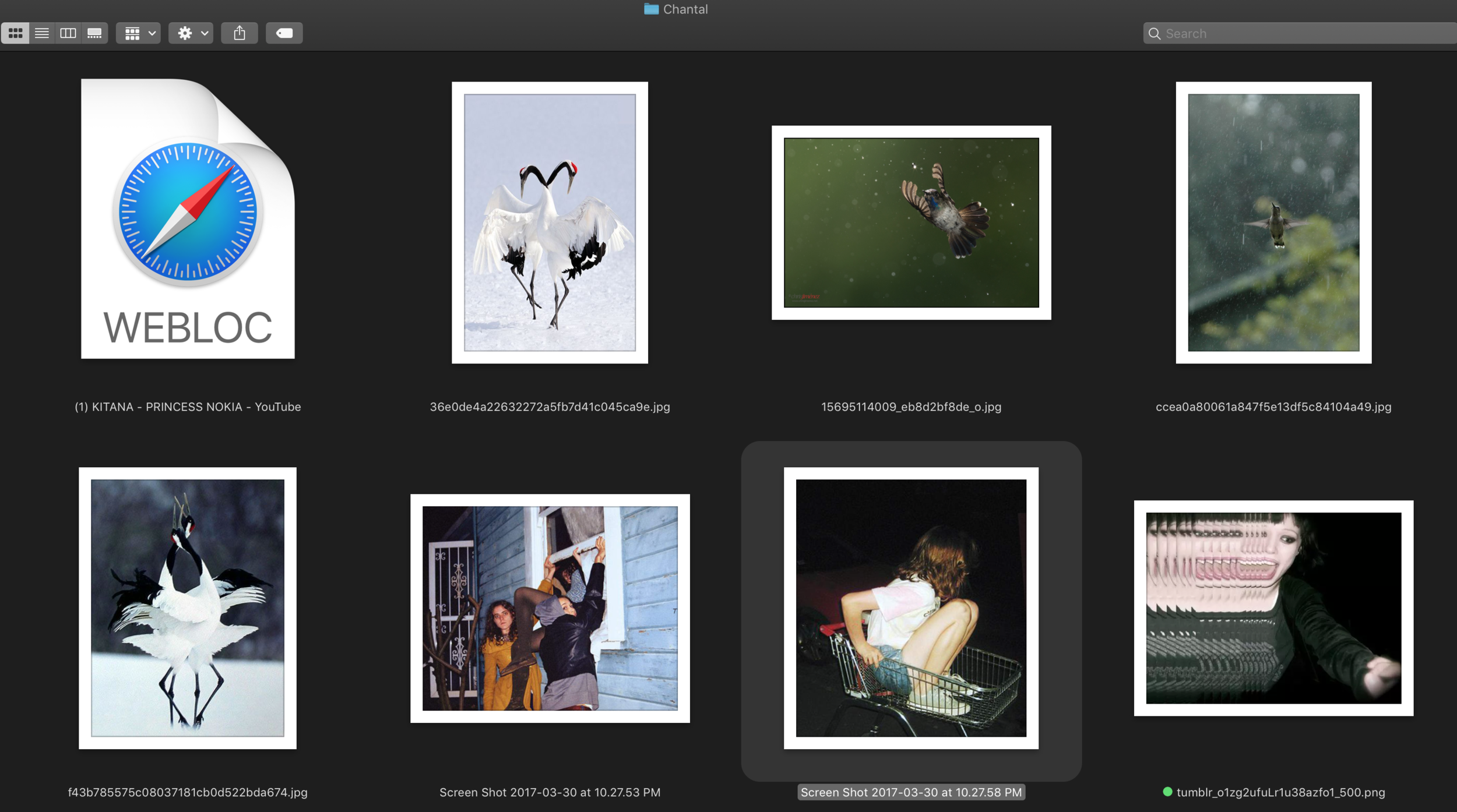 Screen Shot 2019-05-31 at 12.18.22 AM.png
