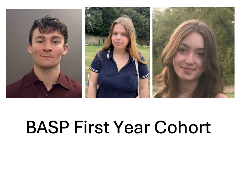 Brendan Fee, Jane Ekhtman, Michelle Stern