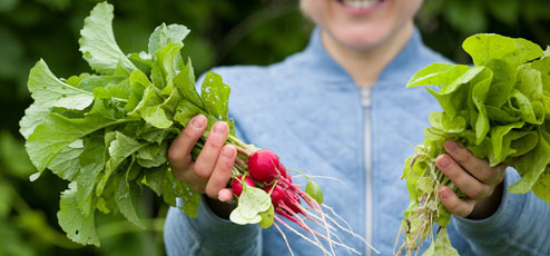 garden.png