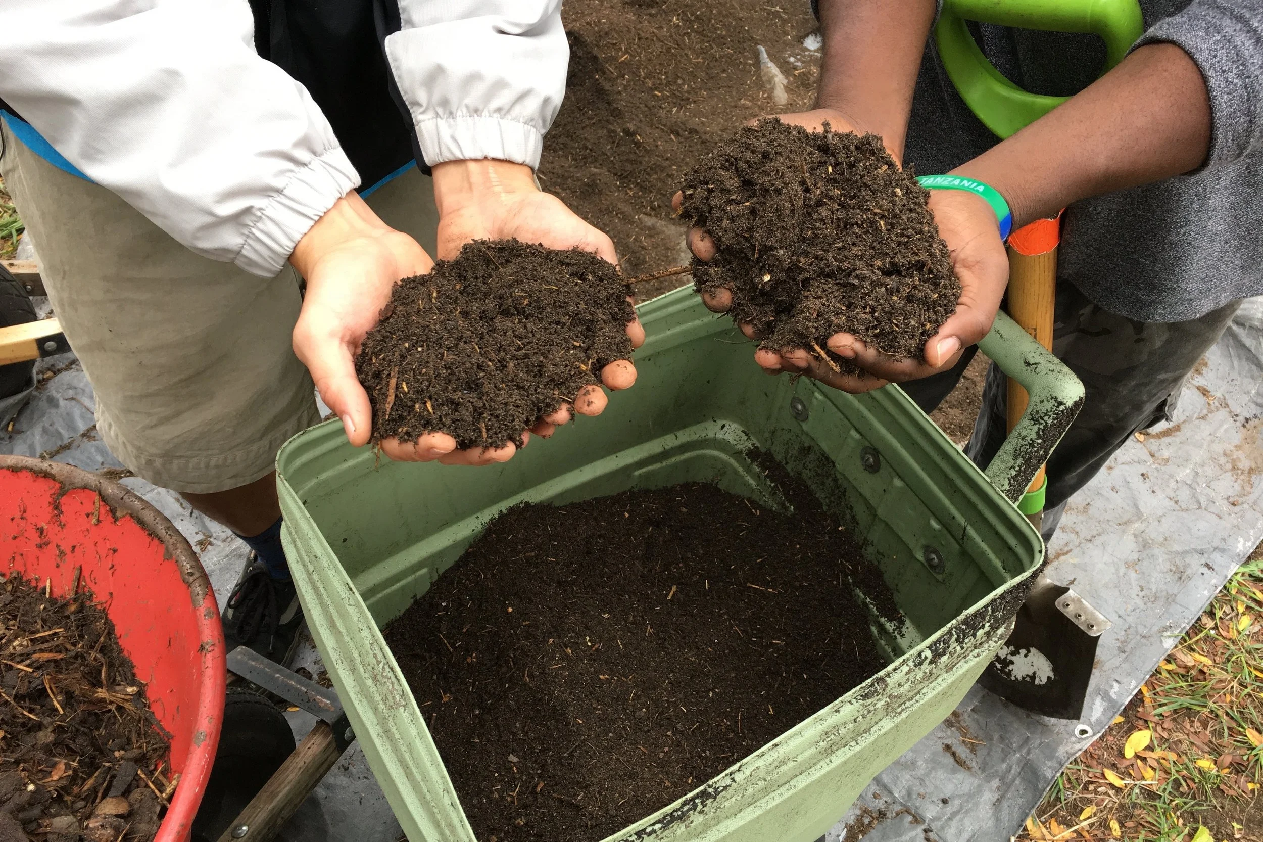 greg+and+mark+hands+compost.jpg