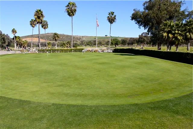 Golf courses must keep their greens in pristine condition. They are able to do this by maintaining the level of thatch in the turf. A regular maintenance dose of ThatchPro+™ can help your lawn compete with the links.