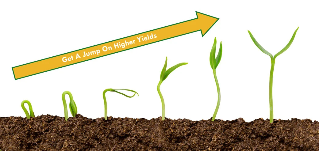 Seedlings-in-progression-with-arrow.jpg