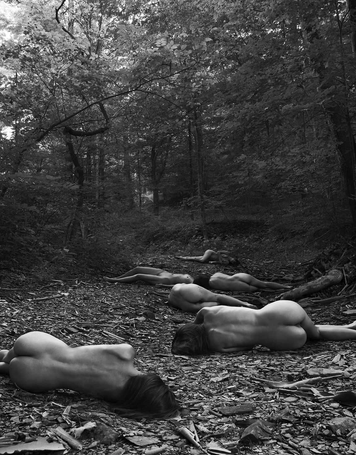 Forest Massacreweb.jpg