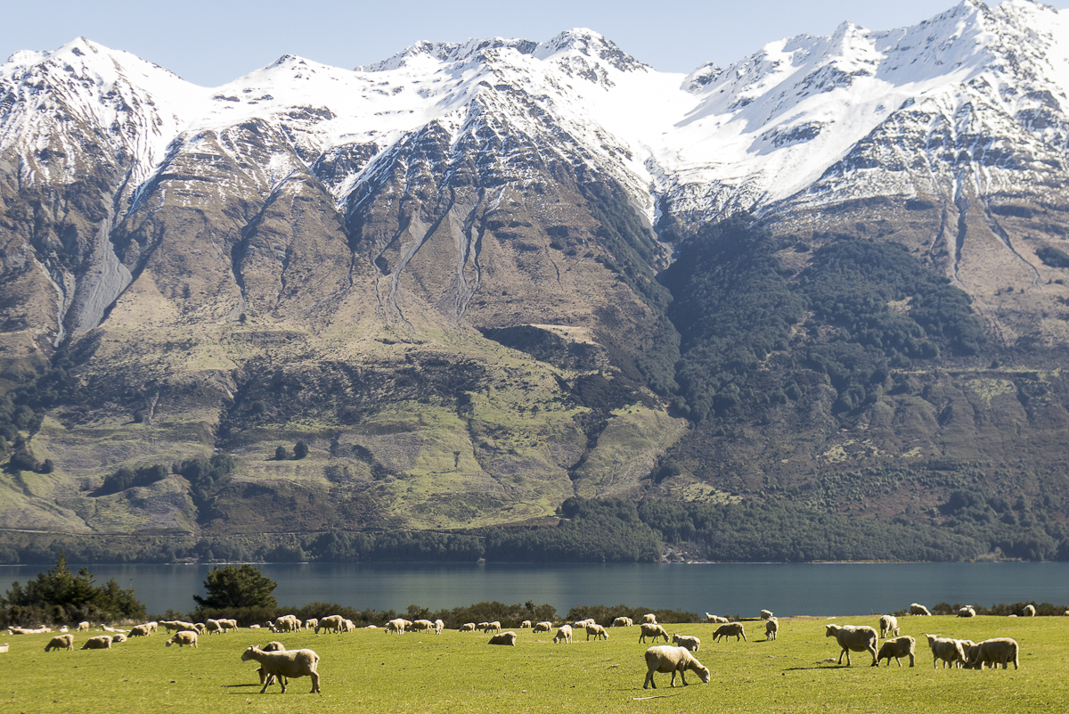 120916_New Zealand_0326.JPG