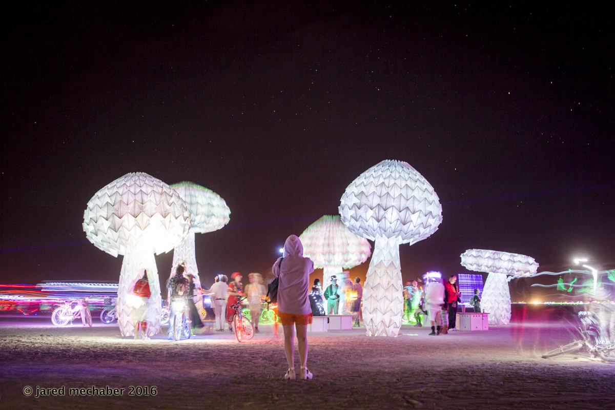 24_160831_Burningman_1029.JPG