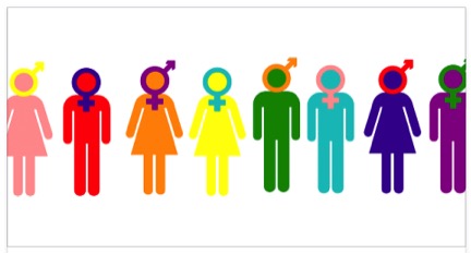The Absurdity of Transgenderism: A Stern But Necessary Critique