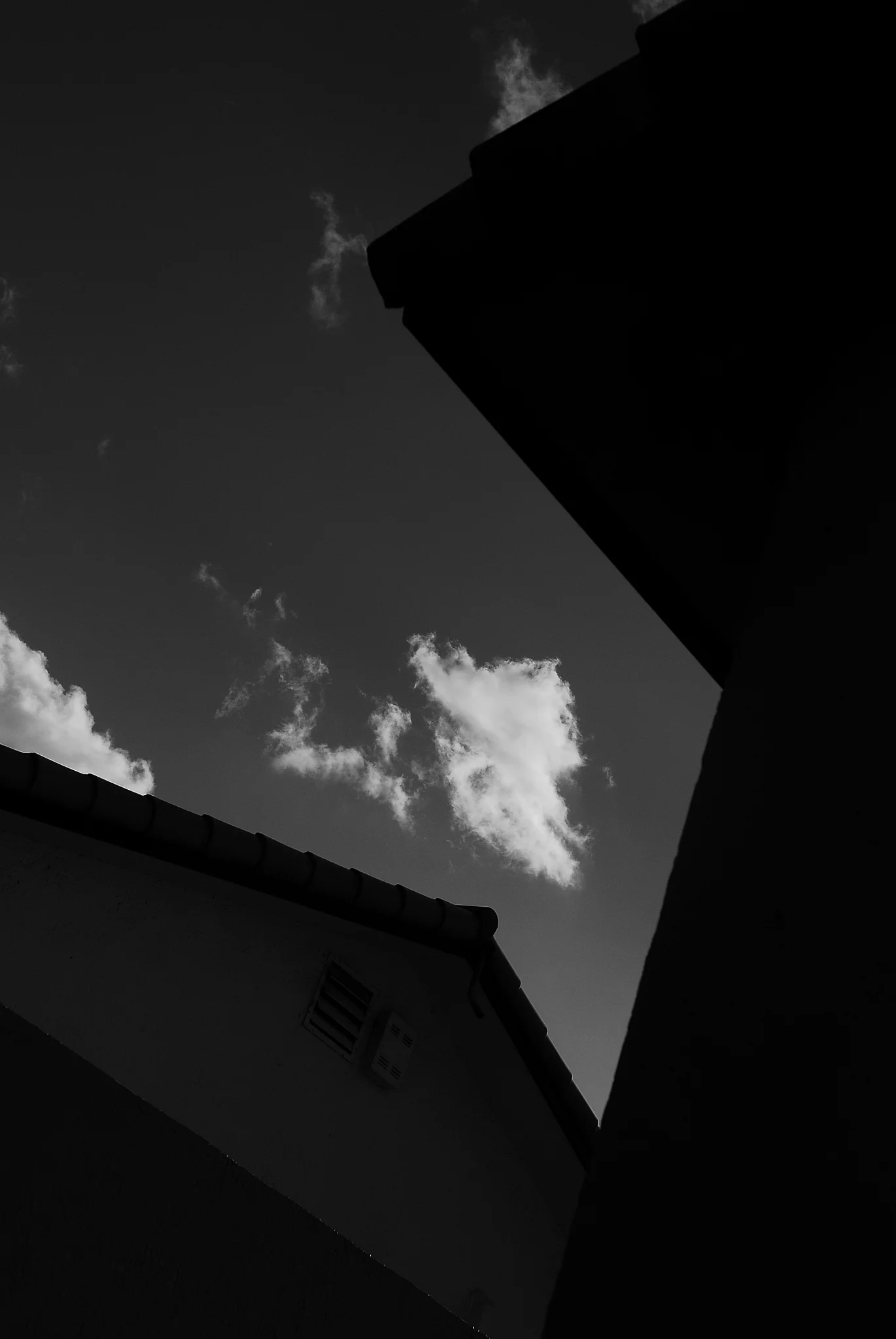 STE_08240001.JPG