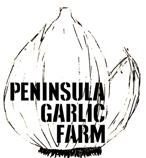 garlic farm.jpg